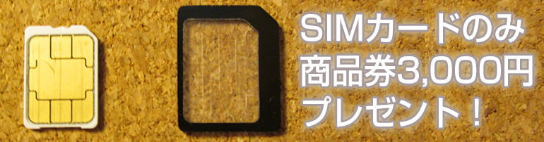 uqcam_sim_navi01